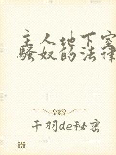 主人地下室惩罚骚奴的法律后果