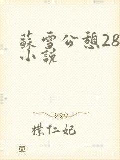 苏雪公憩28篇小说