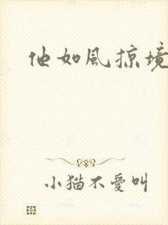 他如风掠境