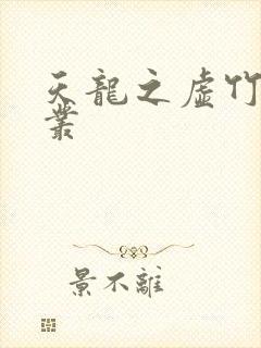 天龙之虚竹戏花丛封面