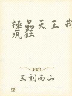 极品天王 我本疯狂