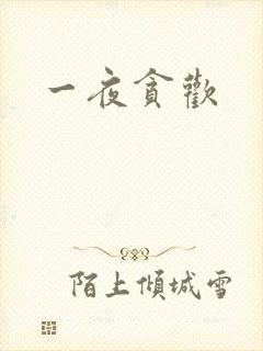 一夜贪欢