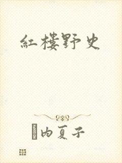 红楼野史