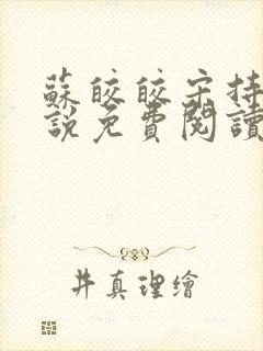 苏皎皎宋持的小说免费阅读