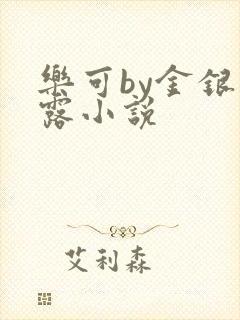 《乐可by金银花露小说》小说封面