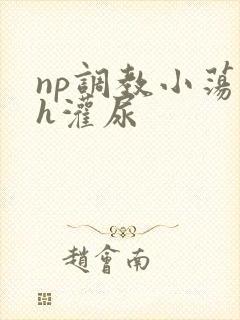 np调教小荡货h灌尿