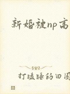 新婚被np高h