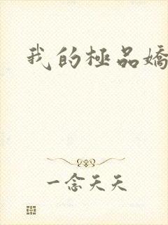 我的极品娇妻