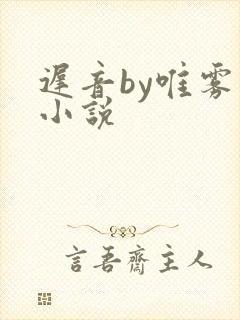 迟音by唯雾的小说