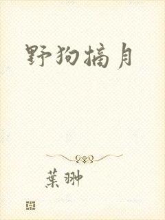野狗摘月