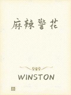 麻辣警花