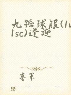 九号球服(1v1sc)逢迎