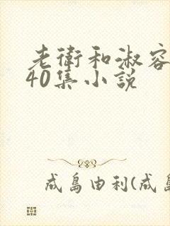 老卫和淑容1-40集小说