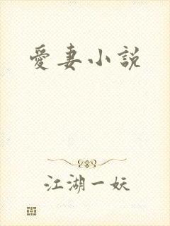 爱妻小说