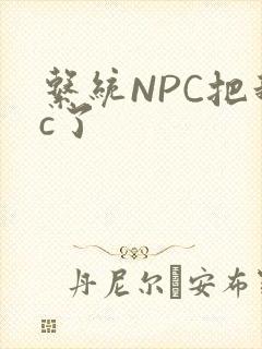 系统NPC把我c了