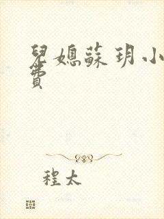 儿媳苏玥小说免费