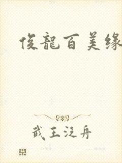 俊龙百美缘小说