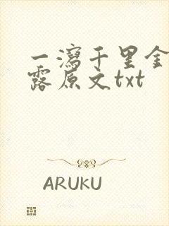 一泻千里金银花露原文txt