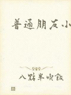 普通朋友小说