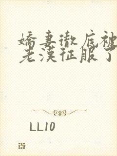 《娇妻彻底被门卫老汉征服了》小说封面