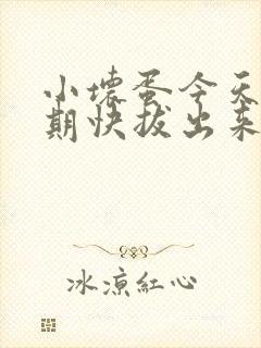 小坏蛋今天危险期快拔出来