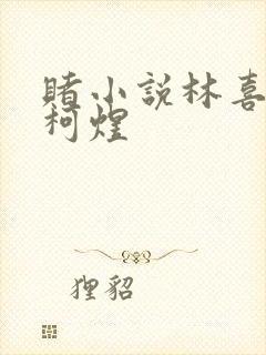 赌小说林喜朝和柯煜