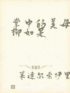 掌中的美母版主柳如是