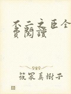 不二之臣全文免费阅读