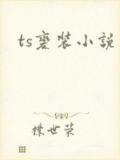 ts变装小说