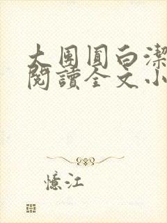 大团圆白洁免费阅读全文小说