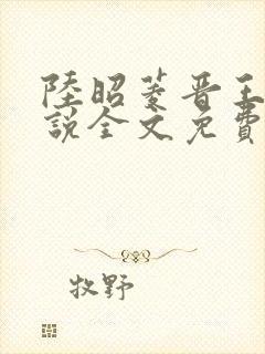 陆昭菱晋王的小说全文免费阅读