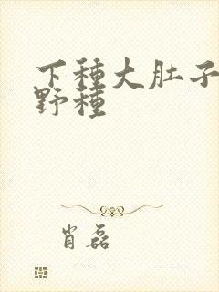 下种大肚子怀孕野种
