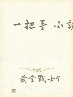 一把手 小说