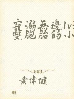 宠溺无边1v3双胞胎的小说