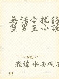 无法合拢的总裁双男主小说