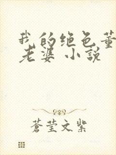 我的绝色董事长老婆 小说