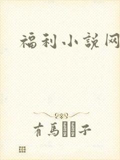福利小说网