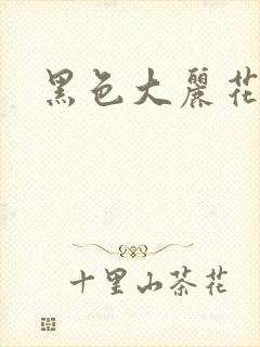 黑色大丽花图片