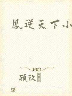 凤逆天下小说