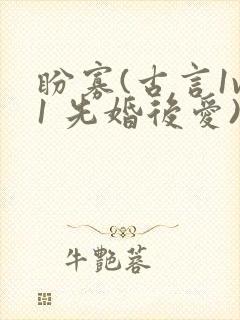 盼寡(古言1v1 先婚后爱)荔枝好多