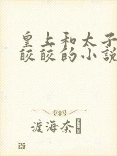 皇上和太子妃沈皎皎的小说免费