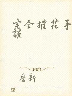 完全摧花手册小说封面