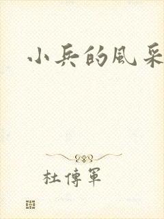 小兵的风采封面