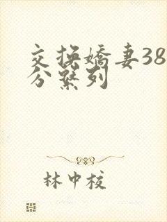 交换娇妻38部分系列