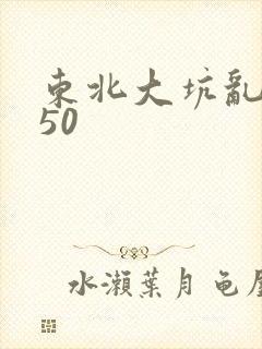 东北大坑乱1—50