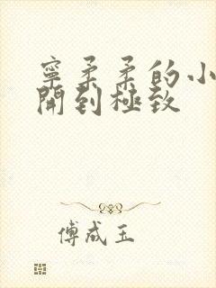 宁柔柔的小泬撑开到极致