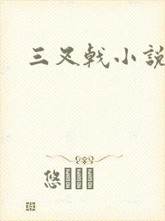 三叉戟小说
