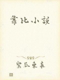靠比小说