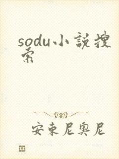 sodu小说搜索