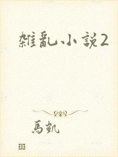 杂乱小说2